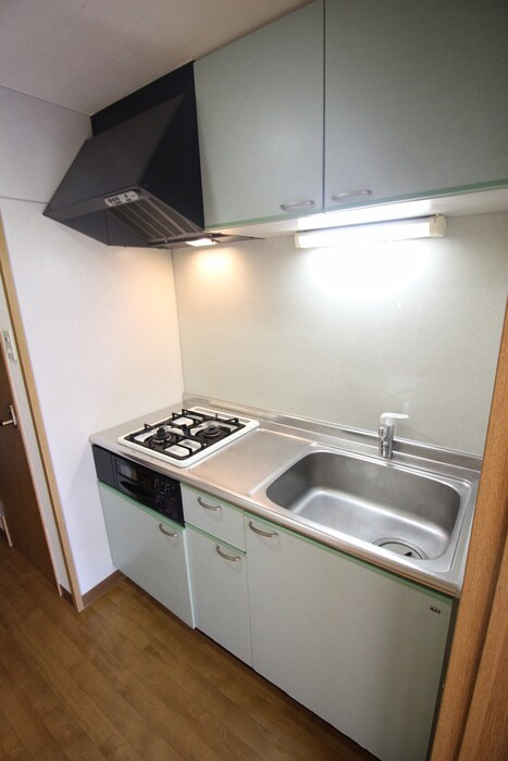 チュアリヒルズⅡの物件内観写真