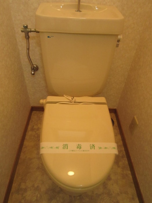 コスモスの物件内観写真