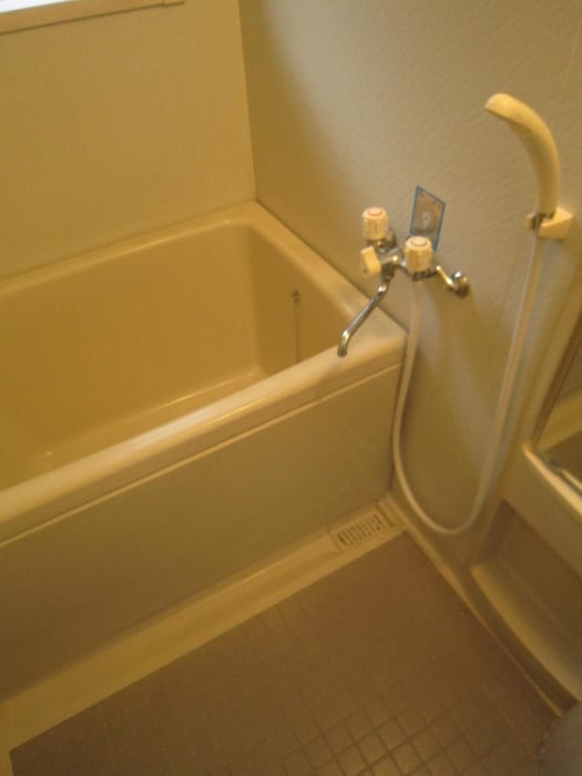 コスモスの物件内観写真