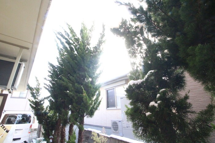 アヴニール・カルティエの物件内観写真