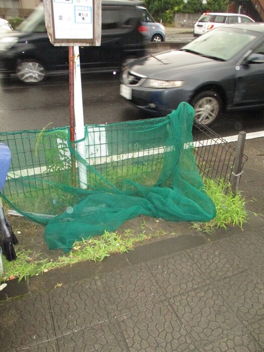 パインチグリスⅡＡの物件外観写真