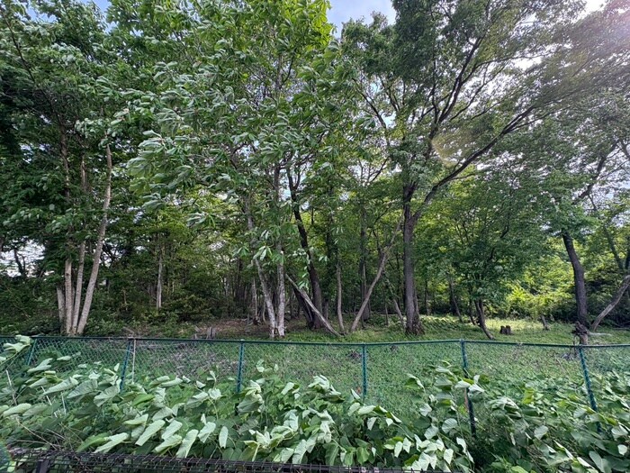 レジデンスオリ－ブⅡの物件内観写真