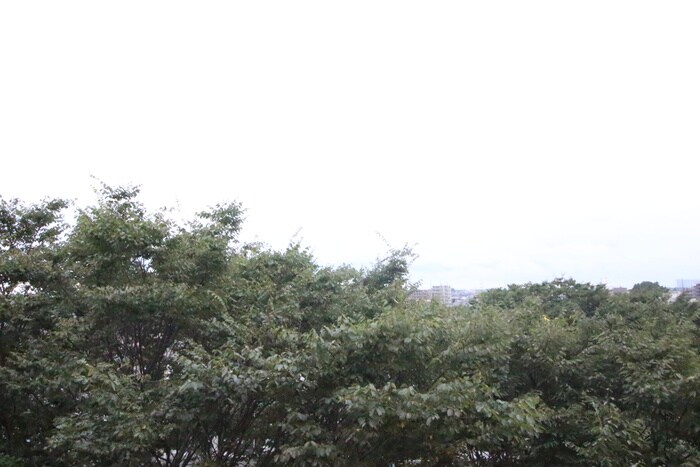 サンキャッスル・16の物件内観写真