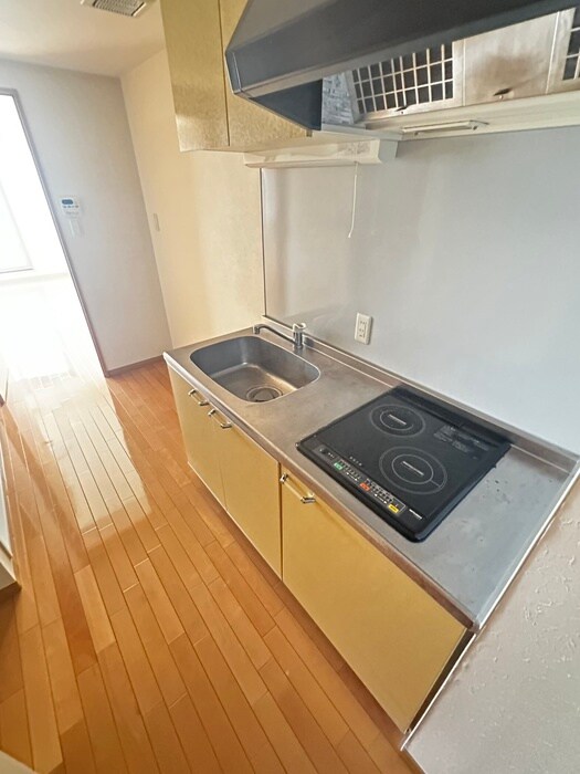 サンヴァ－リオ新田駅前Ⅱの物件内観写真