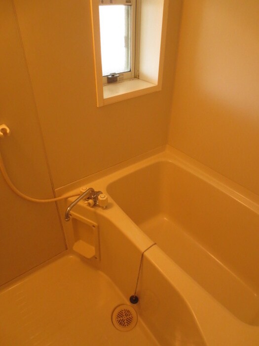 ハミルトンハウス参番館の物件内観写真