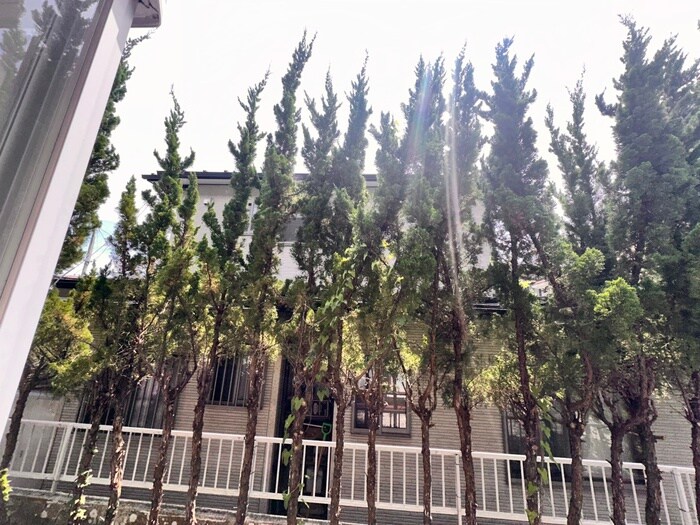 エクセランス・ド旭ヶ丘の物件内観写真