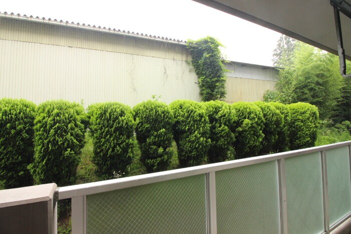 アルバ市名坂の物件内観写真