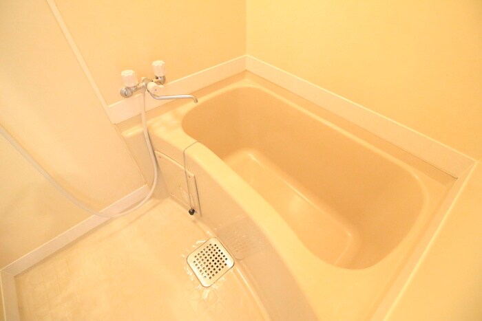 ホワイトキャッスル１１番館の物件内観写真