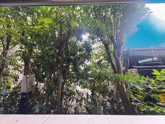 ＮＩＴＴＯ21壱番館の物件内観写真