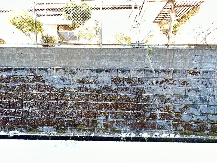 ハイム向山の物件内観写真