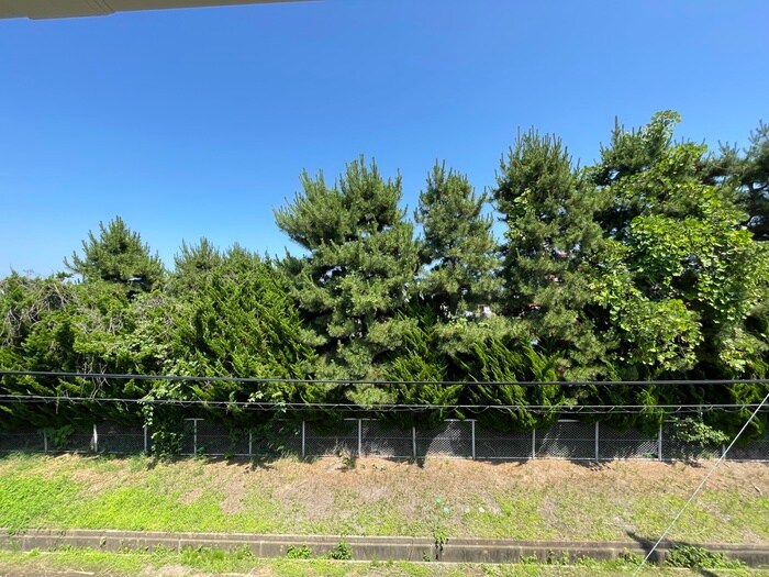 GRAND SOLEIL 上余田Ⅱの物件内観写真