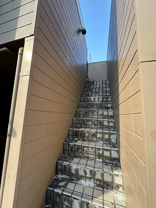 サンアローズ新田西の物件外観写真