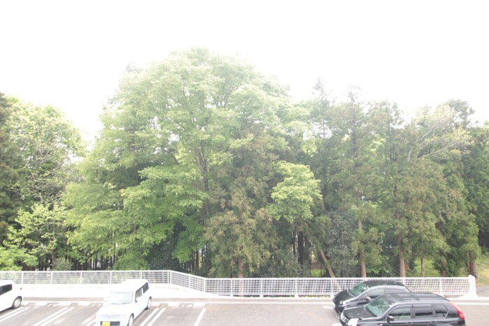 ウエストスワンプＣの物件内観写真