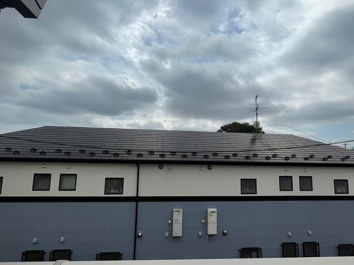 リトルパイン新田の物件内観写真