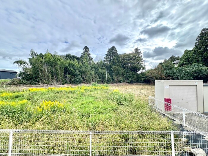 ストロベリーハウスⅣの物件内観写真