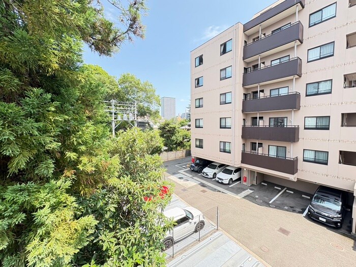 柏コーポの物件内観写真