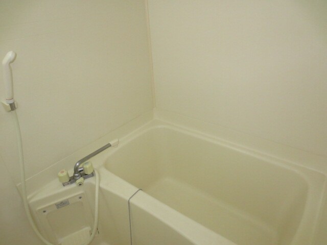 アバンサール泉中央の物件内観写真