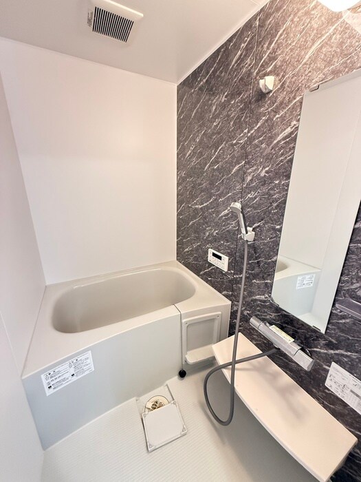 ＳＴＥレジデンスの物件内観写真