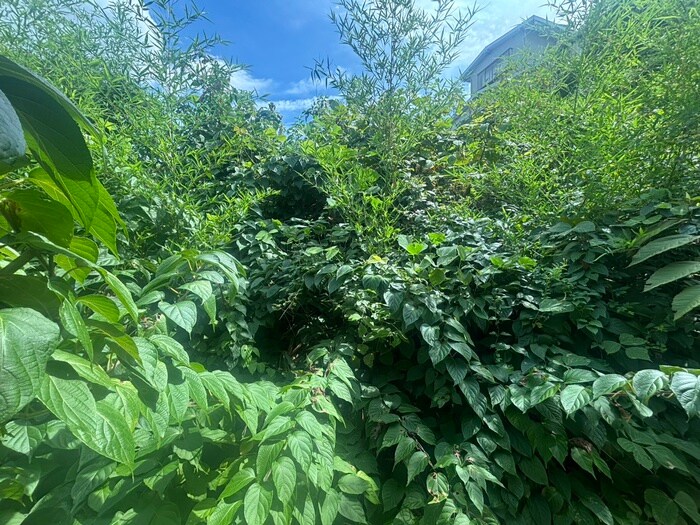 センチュリー川内の物件内観写真