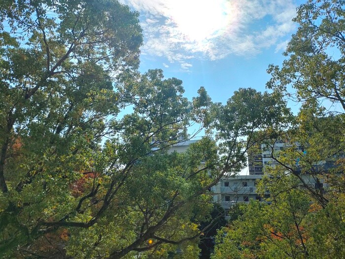 WAKO Ile BLancheの物件内観写真