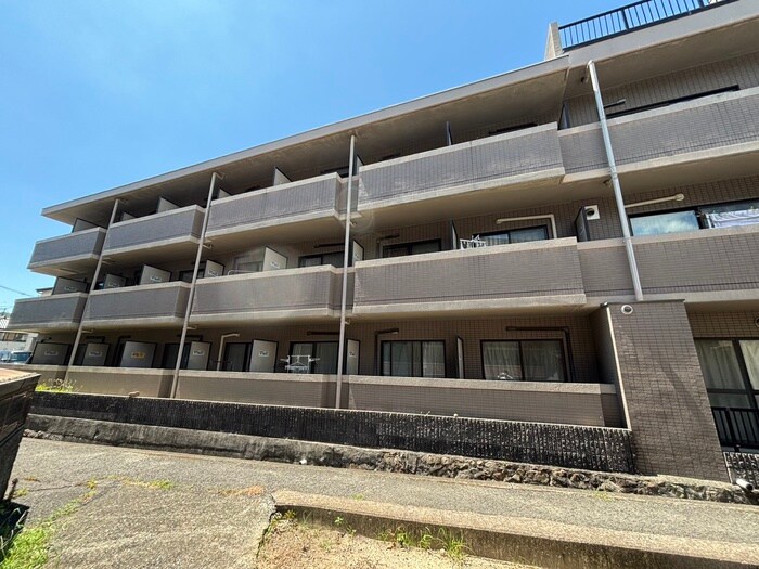 サクセス若葉の物件外観写真