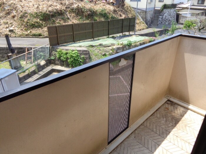 スターライト中央　Ｃ棟の物件内観写真