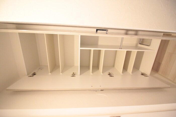 ブランシエスタ河原町の物件内観写真