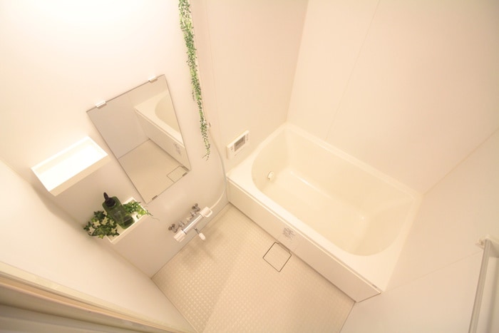 ＭＫ　Ｓｏｌｅｉｌ　国泰寺の物件内観写真