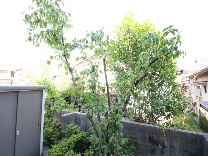 セジュール川崎の物件内観写真