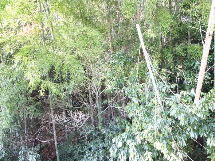 リヴィエール口田Ⅱの物件内観写真