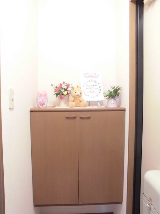 ハイカムール玉木の物件内観写真