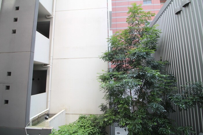 Ｍｉｌｋｙ　Ｗａｙの物件内観写真