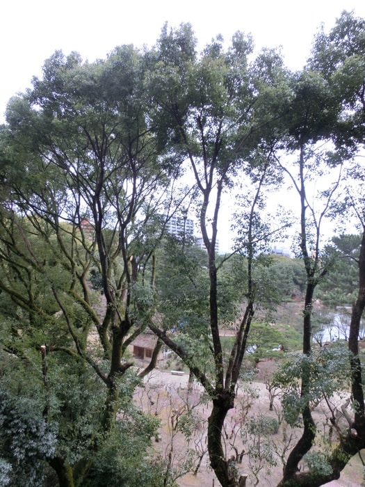 ノーブル縮景園の物件内観写真