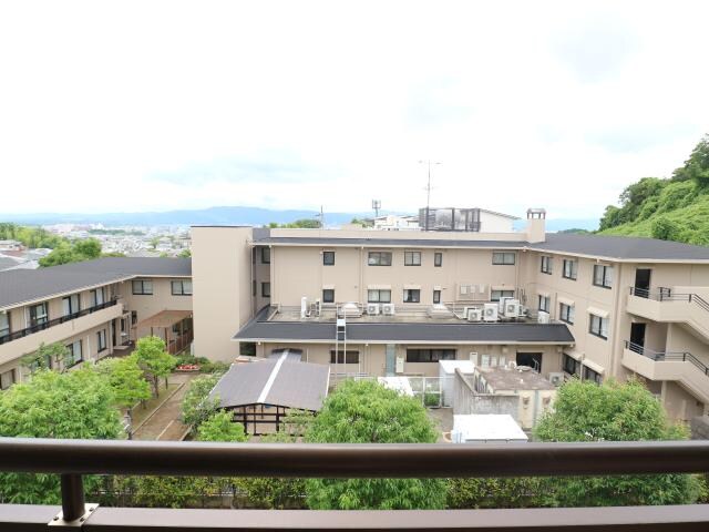 菖蒲池駅 徒歩12分 3階の物件内観写真