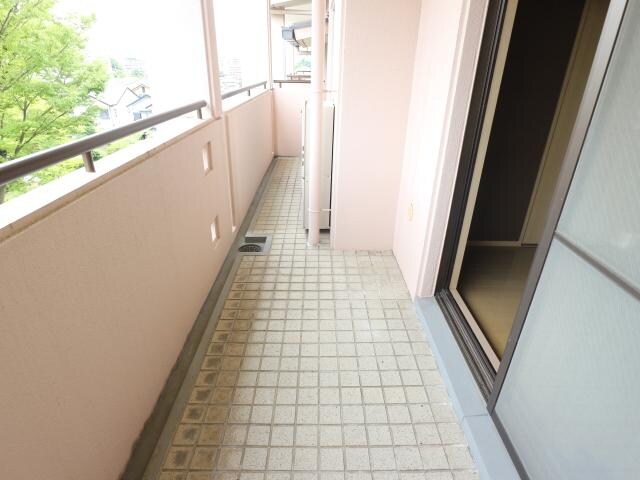 菖蒲池駅 徒歩12分 3階の物件内観写真