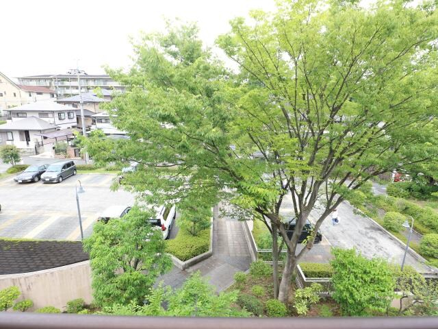 菖蒲池駅 徒歩12分 3階の物件内観写真