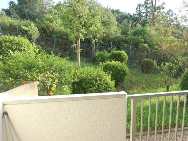 学園前駅 徒歩8分 1階の物件内観写真