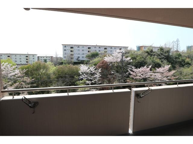 学研奈良登美ケ丘駅 徒歩15分 2階の物件内観写真