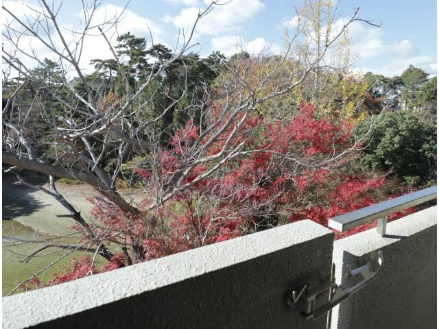 学園前駅 徒歩9分 2階の物件内観写真