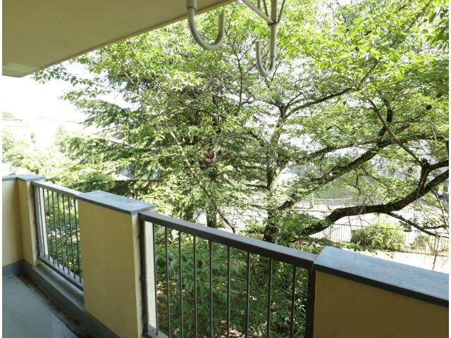 学研奈良登美ケ丘駅 徒歩18分 3階の物件内観写真