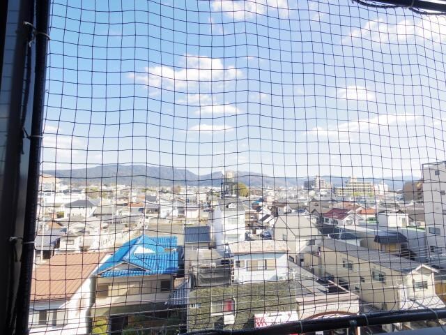 近鉄奈良駅 徒歩13分 6階の物件内観写真