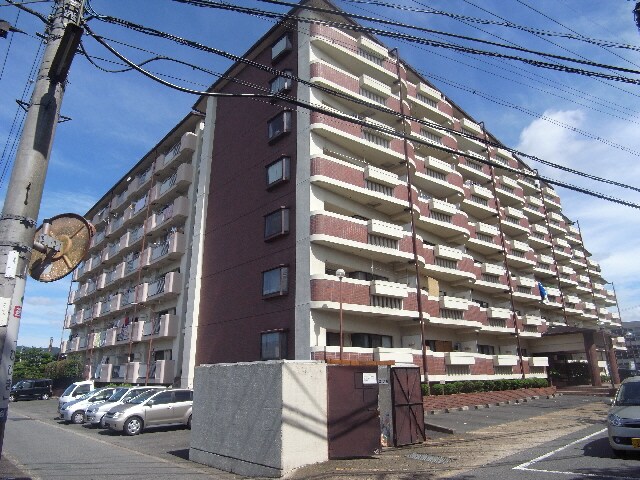 大和小泉駅 徒歩13分 3階の物件外観写真