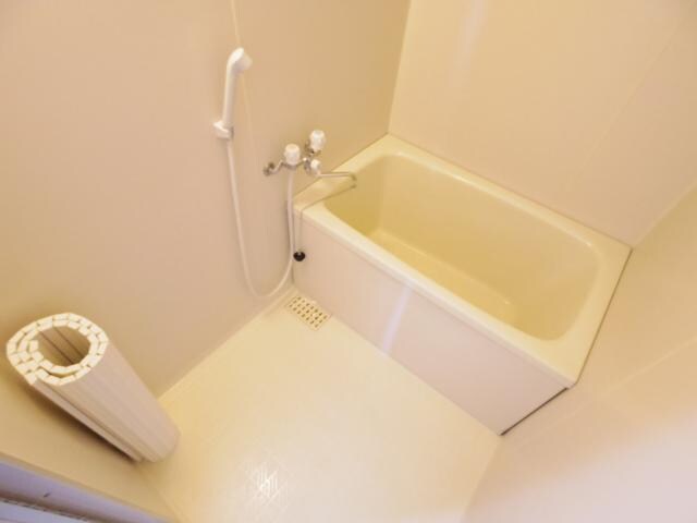 大和小泉駅 徒歩13分 3階の物件内観写真