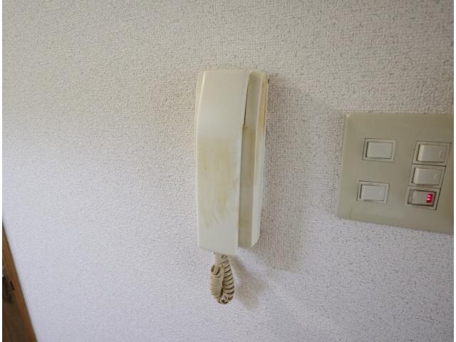 大和西大寺駅 徒歩15分 1階の物件内観写真