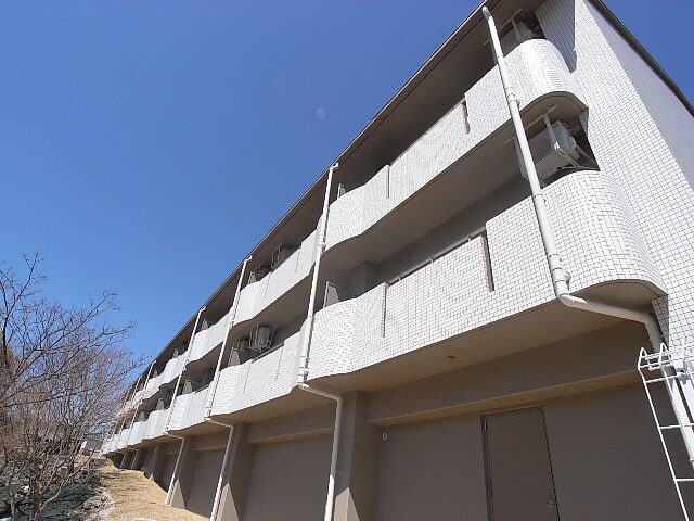 菖蒲池駅 徒歩7分 2階の物件外観写真