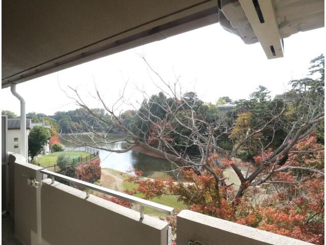 菖蒲池駅 徒歩7分 2階の物件内観写真