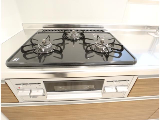 大和西大寺駅 徒歩12分 2階の物件内観写真