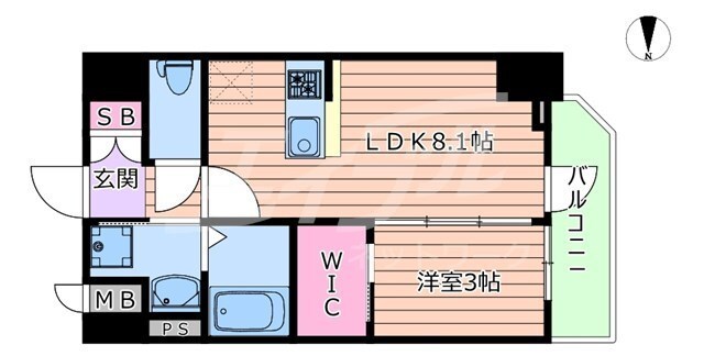 セレニテ福島アリアの物件間取画像