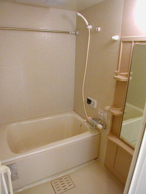 アリス・マナーガーデン谷町の物件内観写真