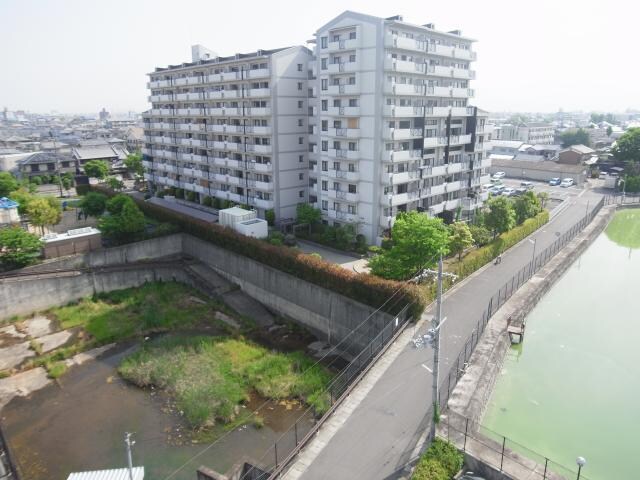 大和八木駅 徒歩6分 7階の物件内観写真